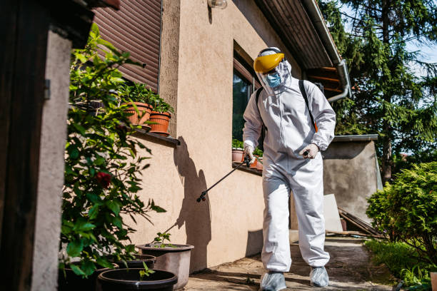  Montverde, FL Pest Control Pros
