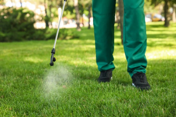 Best Affordable Pest Control Services  in Montverde, FL