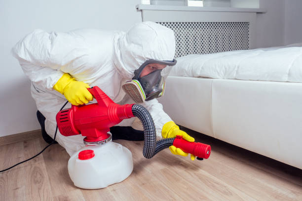 Best Insect Control  in Montverde, FL
