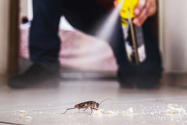 Best Commercial Pest Control Services  in Montverde, FL